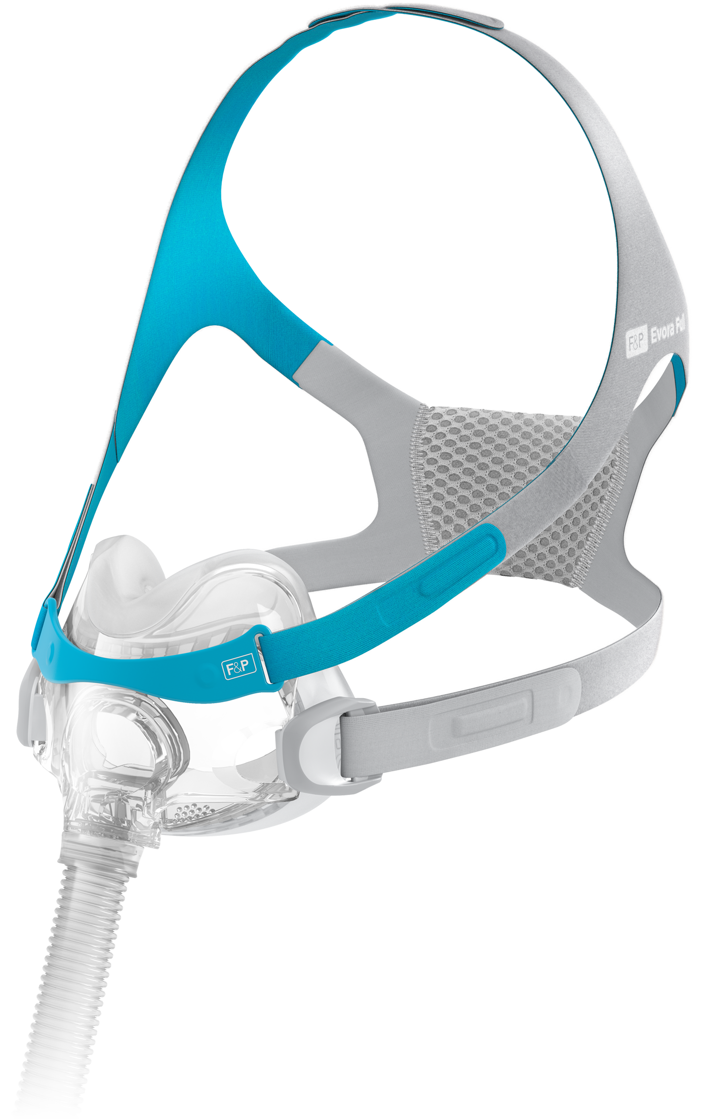 Newmakr WIRE 2026-06-16 wave=2 | Evora Full Hero.png